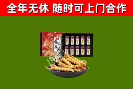 兰考回收冬虫夏草价格