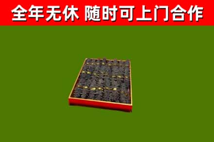 兰考回收海参